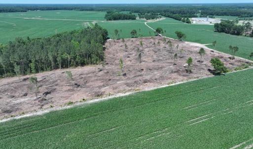 DJI_20250604162223_0533_D