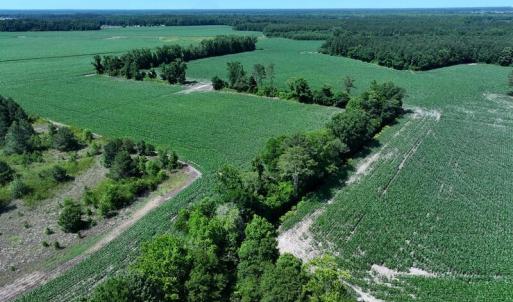 DJI_20250604162943_0546_D