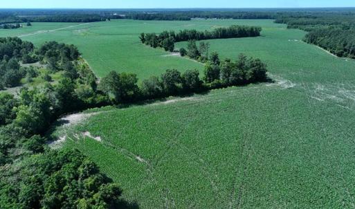 DJI_20250604162922_0545_D