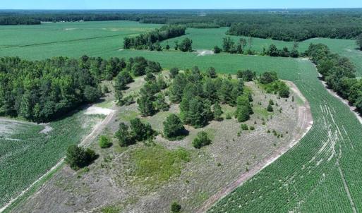 DJI_20250604163014_0547_D