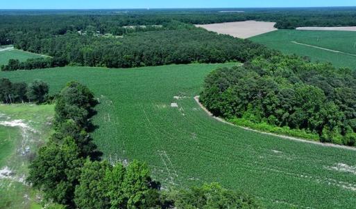 DJI_20250604162814_0541_D