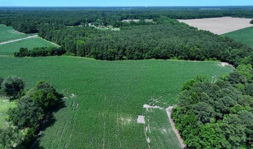 DJI_20250604162826_0542_D