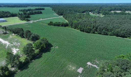 DJI_20250604162836_0543_D