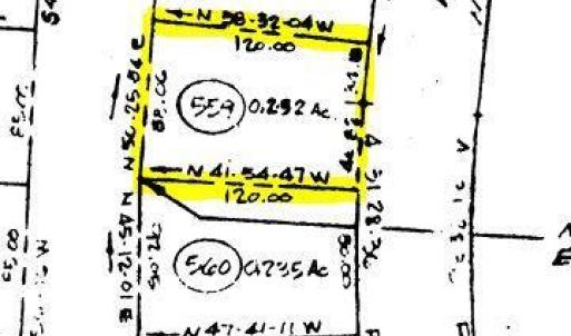 LOT 559