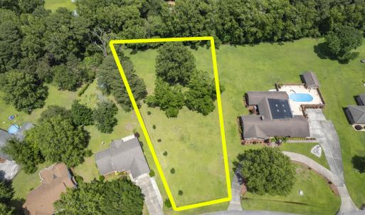 Wonderful Neighborhood