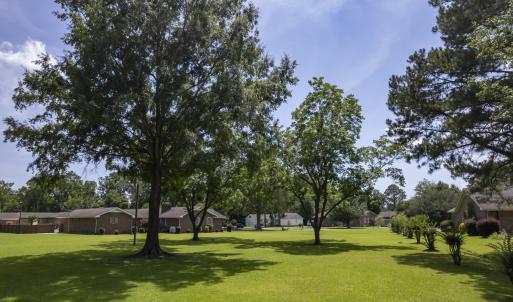 The Village of Leisure Living