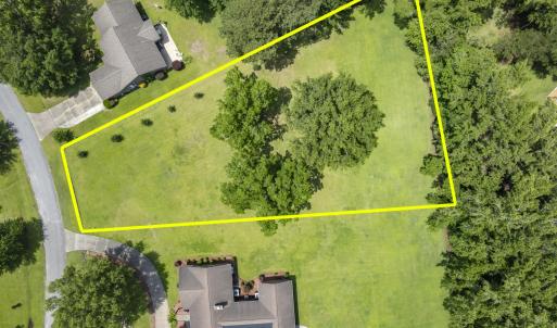 Pecan Tree and Crepe Myrtles