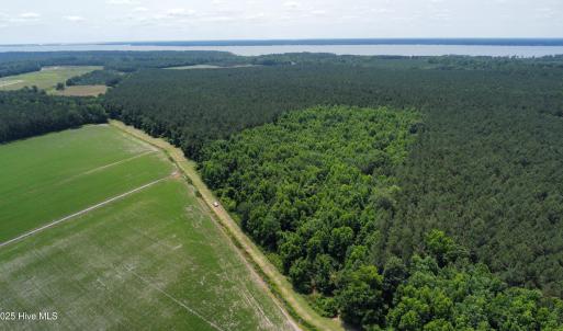 dji_fly_20250604_121946_411_174905399349