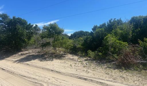 1621 Sandpiper Photo (2)