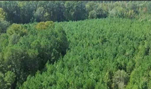 16369 Palmer Rd_Aerial_3