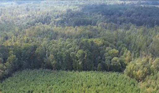 16369 Palmer Rd_Aerial_2