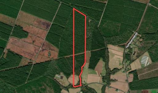 2. Property Lines