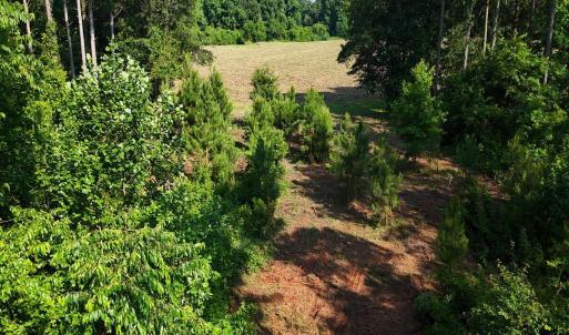 38. Area 1. Ground