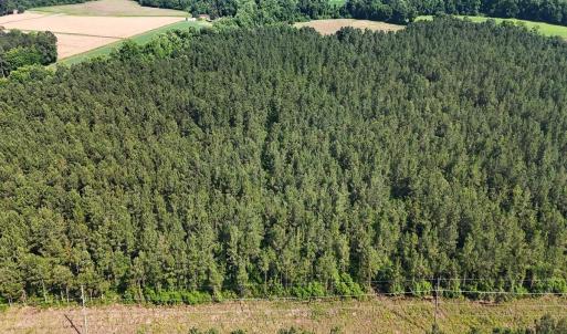 43. Area 1. Easement a
