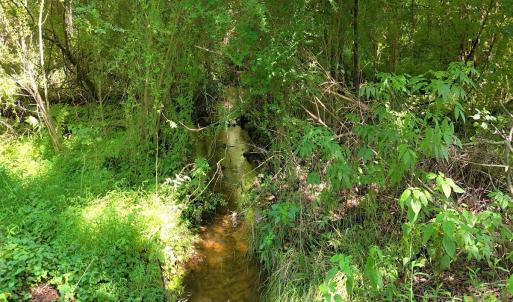 42. Area 1. Creek Image