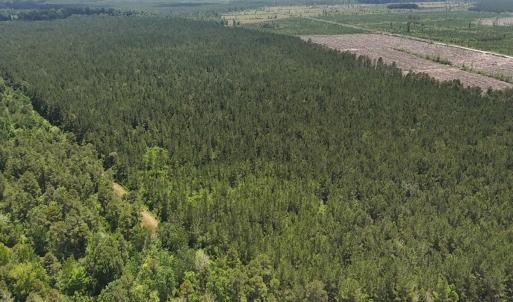 17. East Area 2. Corner b