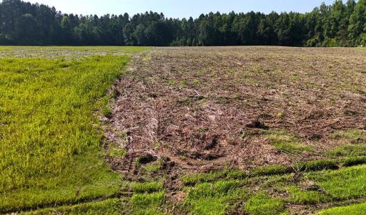 30. Area 1. Ground b