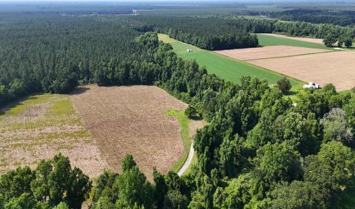 24. Area 1. West Corner b