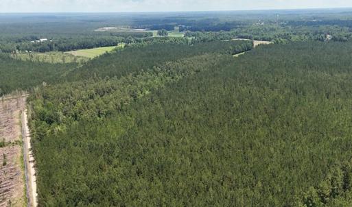 18. Area 2. West Corner a