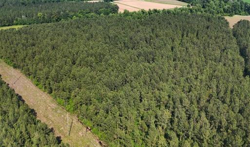 38. Area 1. Easement b