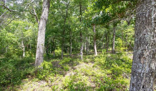 1766 Oyster Harbor-18
