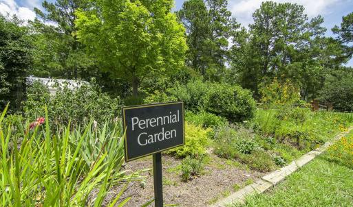 community-gardens-3