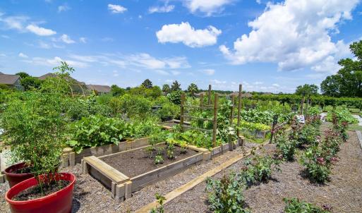 community-gardens-5