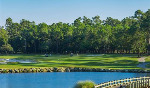 golfcourse