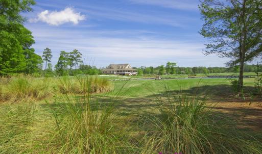 golf-course