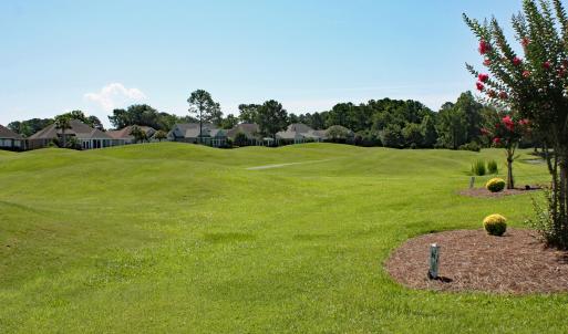 Amazing Golf Views