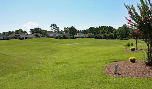 Amazing Golf Views