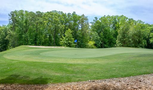carolina-trace-sanford-13