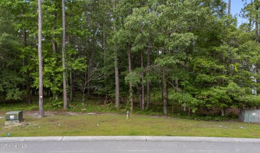 6_dji_20250611173128_0037_d