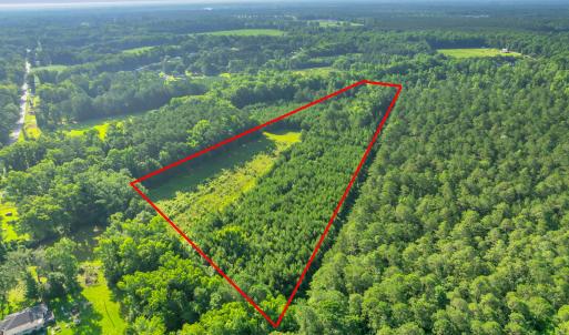 15323 state hwy 21000004