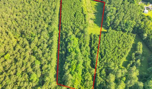 15323 state hwy 21000007