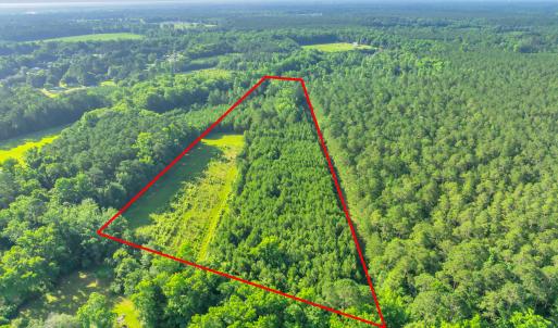 15323 state hwy 21000003