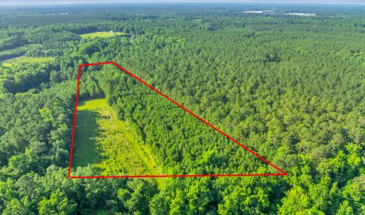 15323 state hwy 21000002