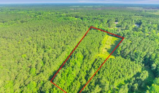 15323 state hwy 21000006