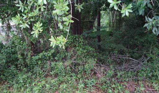 View from right of property