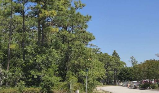 Bradley Nine Mile (4)resized