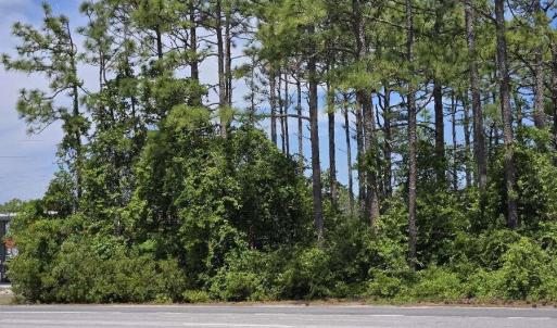 Bradley Nine Mile (1)resized