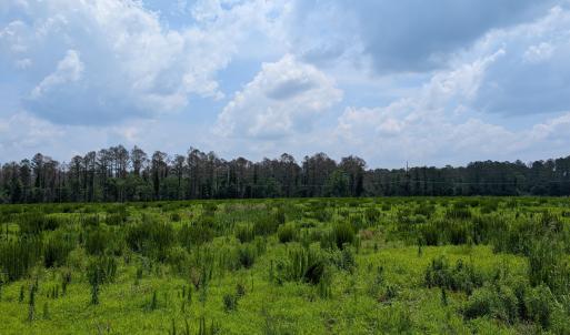 PXL_20250624_162556479