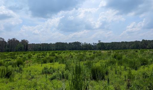 PXL_20250624_162558036