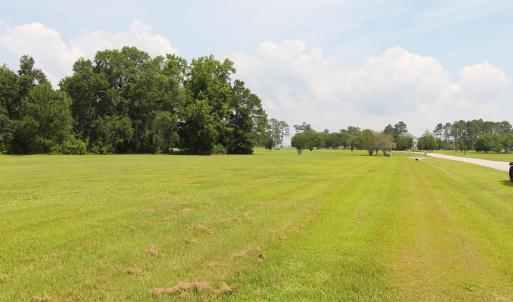 View Across the Lot