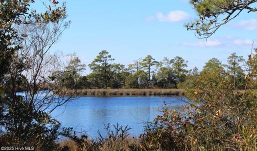 View of Creek