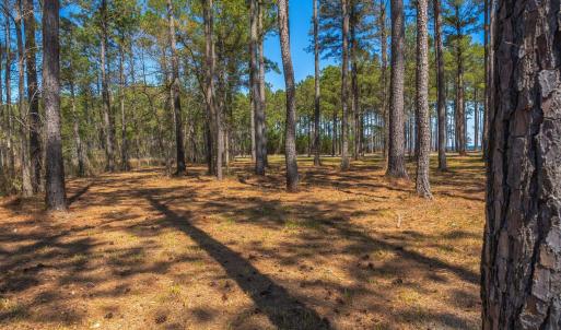 mls_Lots Gray Goose Ground-4