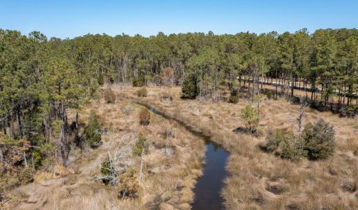 mls_Lots Gray Goose-28