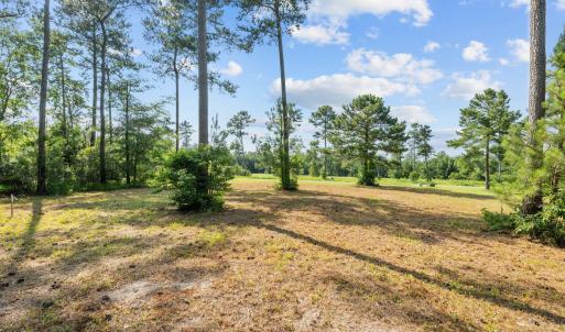 6-web-or-mls-DSC_0878