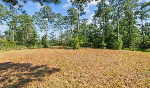 2-web-or-mls-DSC_0877