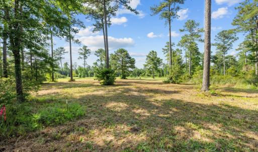 7-web-or-mls-DSC_0879